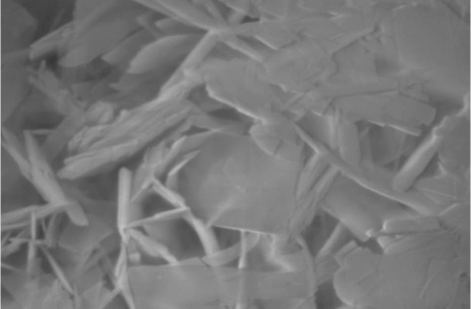 Nano Hydroxyapatite Powders