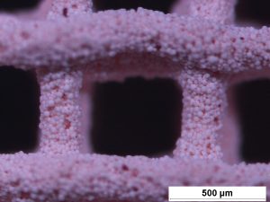 3D PRINTING HYDROXYAPATITE INK (HAPINK) | https://allindiametal.com/3d-printing-hydroxyapatite-ink-hapink/