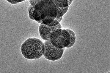 MESOPOROUS SILICA