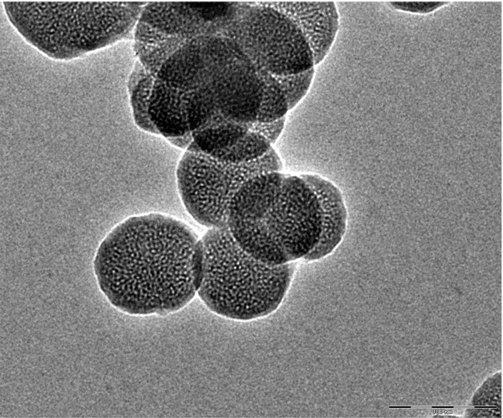 MESOPOROUS SILICA