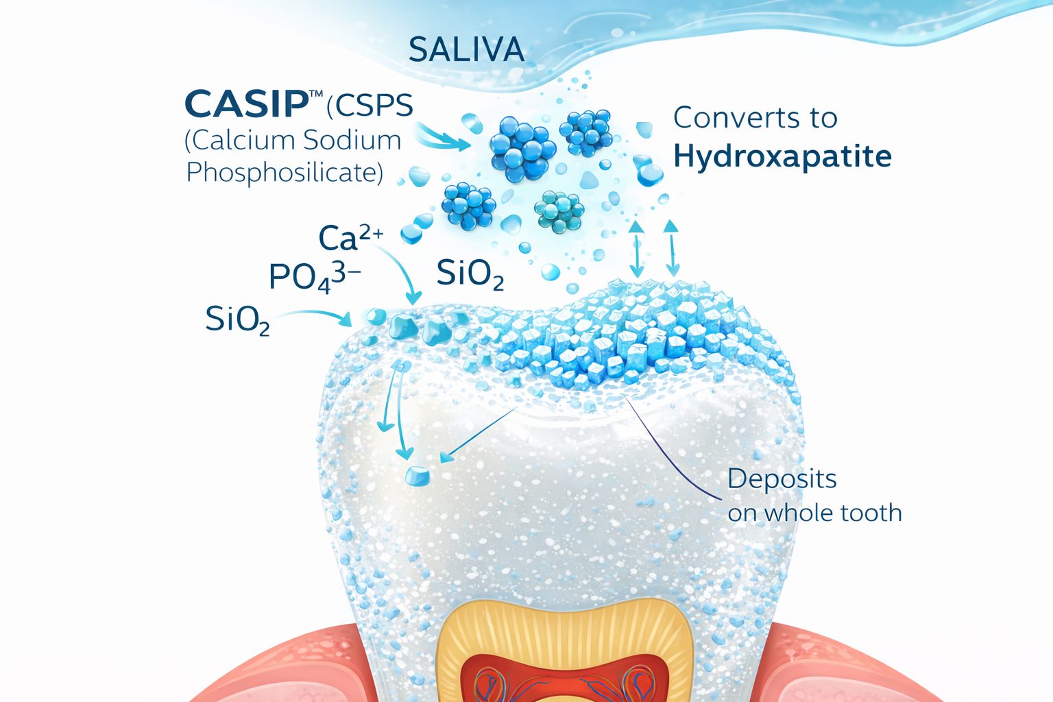 CALCIUM SODIUM PHOSPHOSILICATE (CASIP)